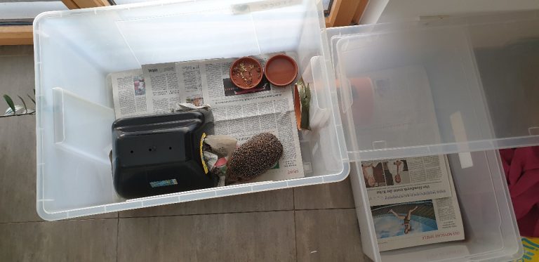 Igelkiste mit Schlaf-Häuschen